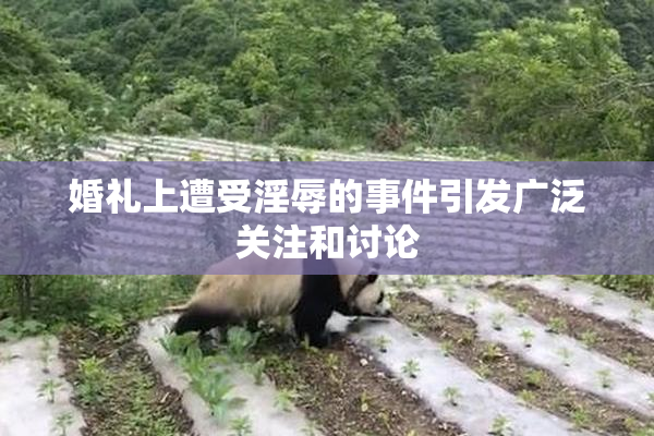 婚礼上遭受淫辱的事件引发广泛关注和讨论