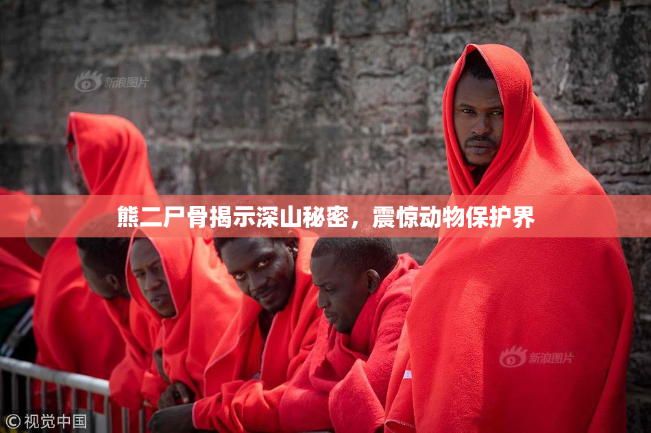 熊二尸骨揭示深山秘密，震惊动物保护界