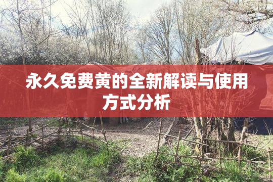 永久免费黄的全新解读与使用方式分析