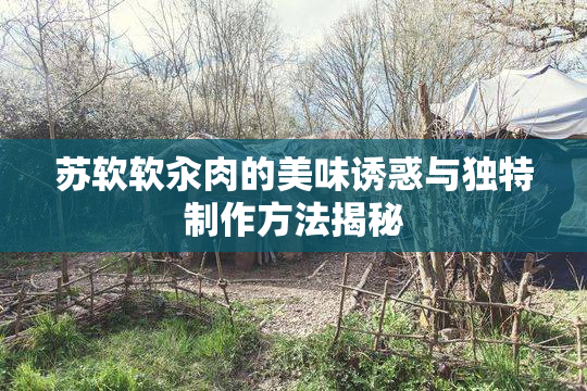 苏软软汆肉的美味诱惑与独特制作方法揭秘