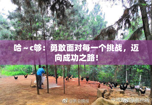 哈～c够：勇敢面对每一个挑战，迈向成功之路！