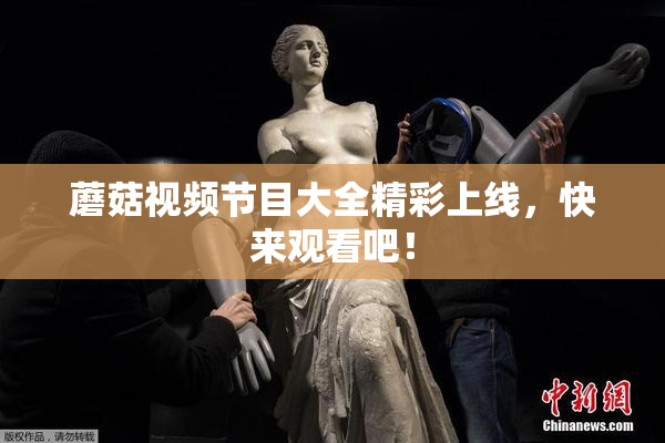 蘑菇视频节目大全精彩上线，快来观看吧！