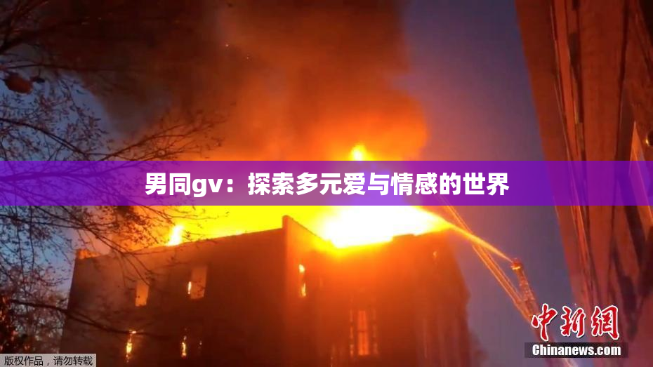 男同gv：探索多元爱与情感的世界