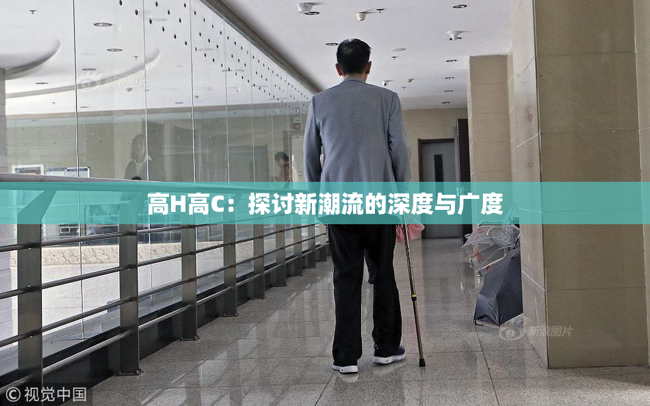 高H高C：探讨新潮流的深度与广度
