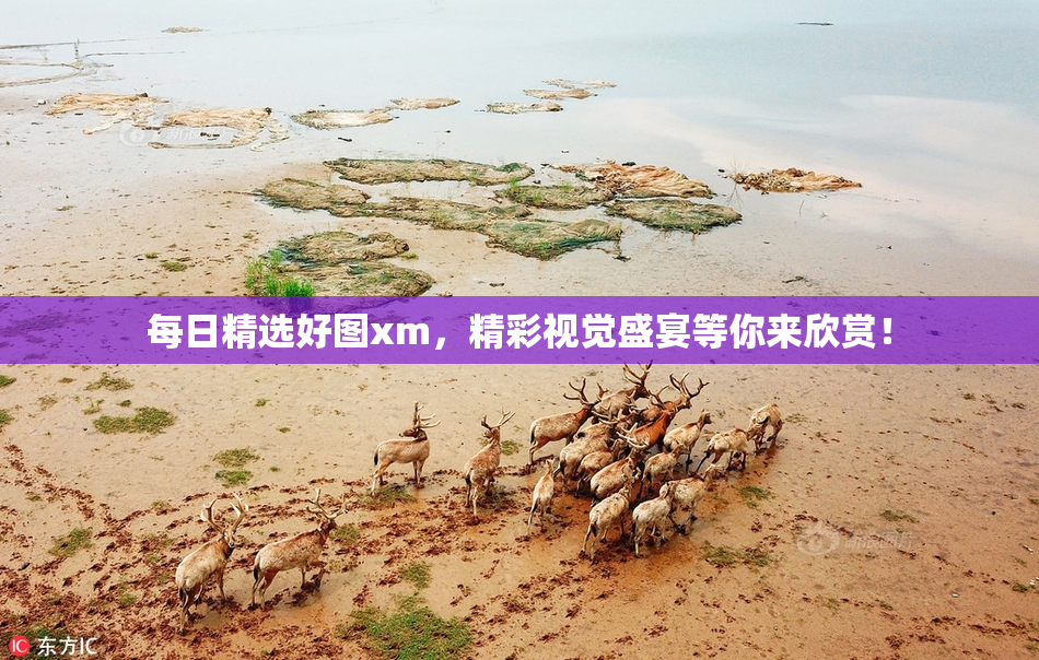 每日精选好图xm，精彩视觉盛宴等你来欣赏！