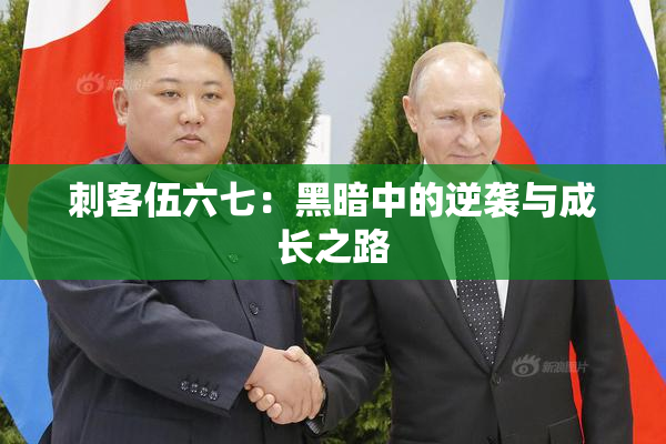 刺客伍六七：黑暗中的逆袭与成长之路