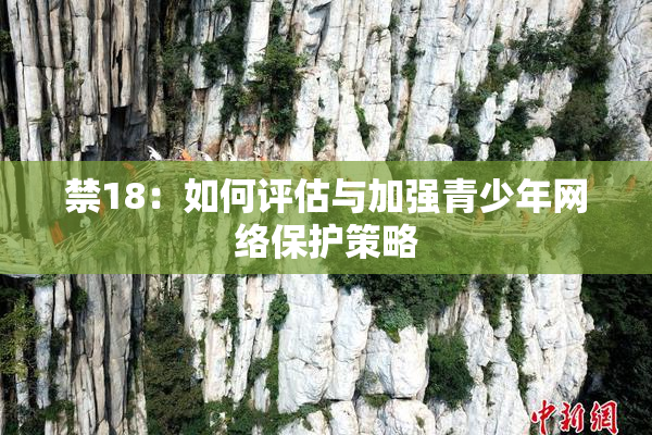 禁18：如何评估与加强青少年网络保护策略