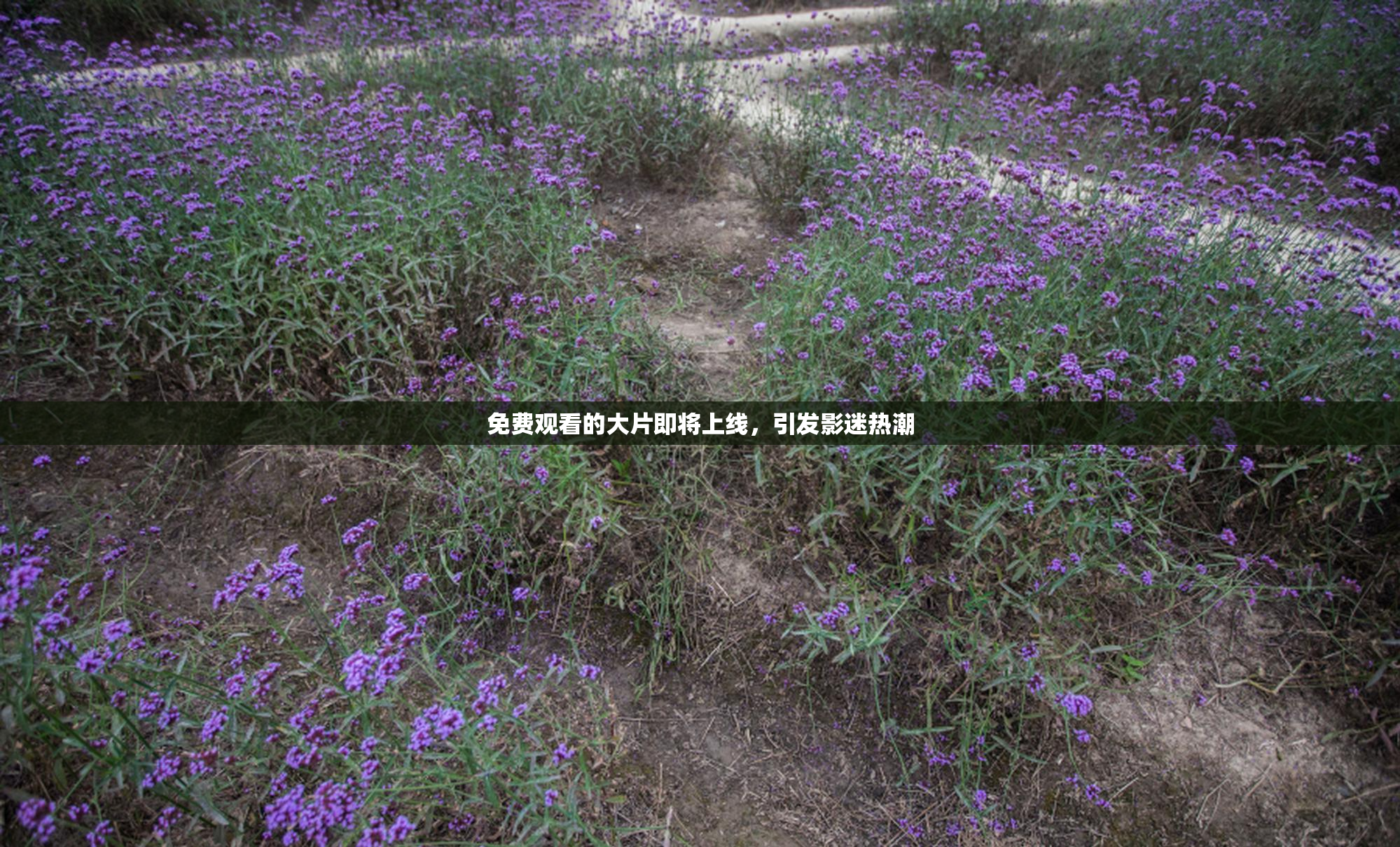 免费观看的大片即将上线，引发影迷热潮