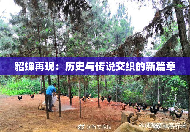 貂蝉再现：历史与传说交织的新篇章