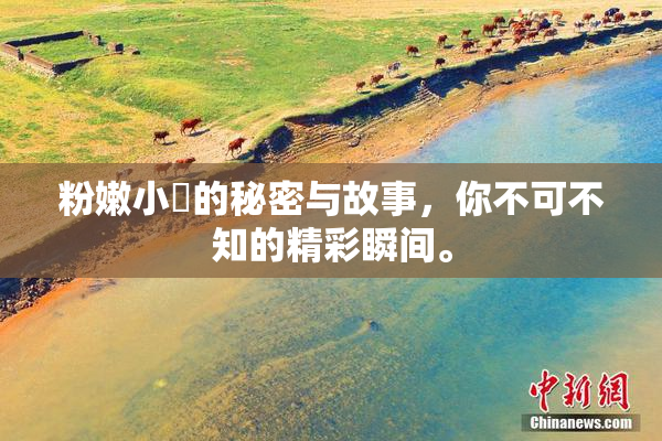 粉嫩小泬的秘密与故事，你不可不知的精彩瞬间。