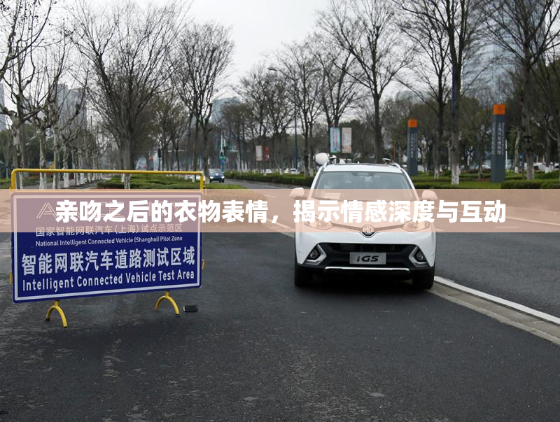 亲吻之后的衣物表情，揭示情感深度与互动