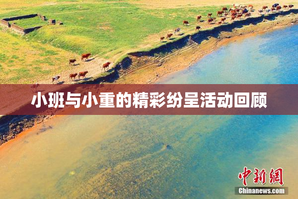 小班与小重的精彩纷呈活动回顾