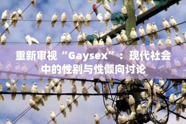 重新审视“Gaysex”：现代社会中的性别与性倾向讨论