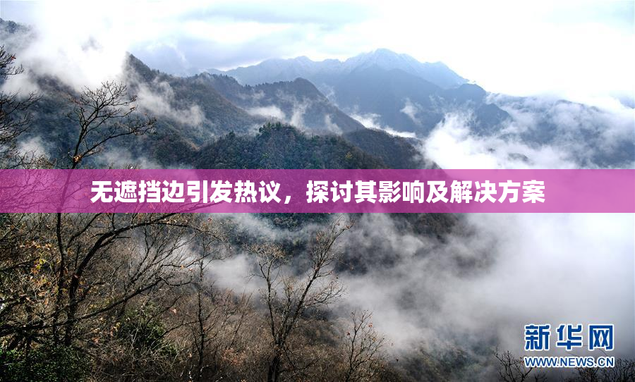 无遮挡边引发热议，探讨其影响及解决方案