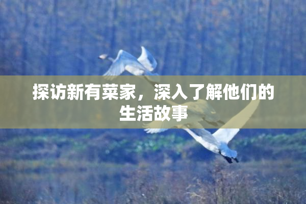 探访新有菜家，深入了解他们的生活故事