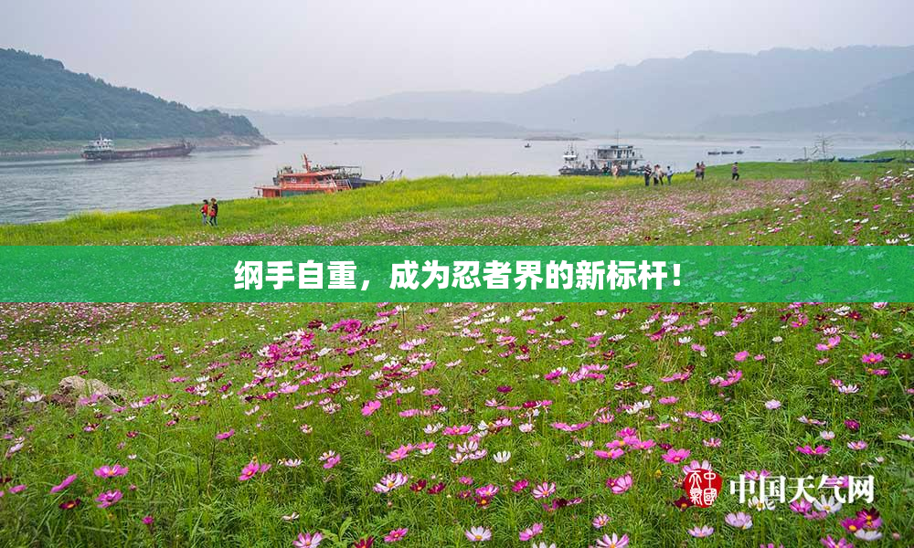 纲手自重，成为忍者界的新标杆！
