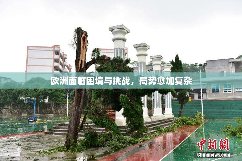 欧洲面临困境与挑战，局势愈加复杂