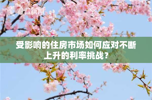 受影响的住房市场如何应对不断上升的利率挑战？