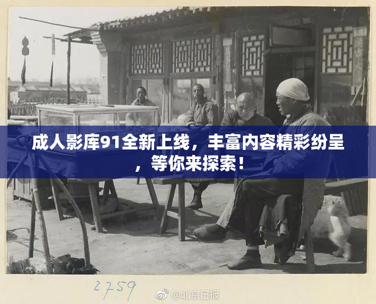 成人影库91全新上线，丰富内容精彩纷呈，等你来探索！