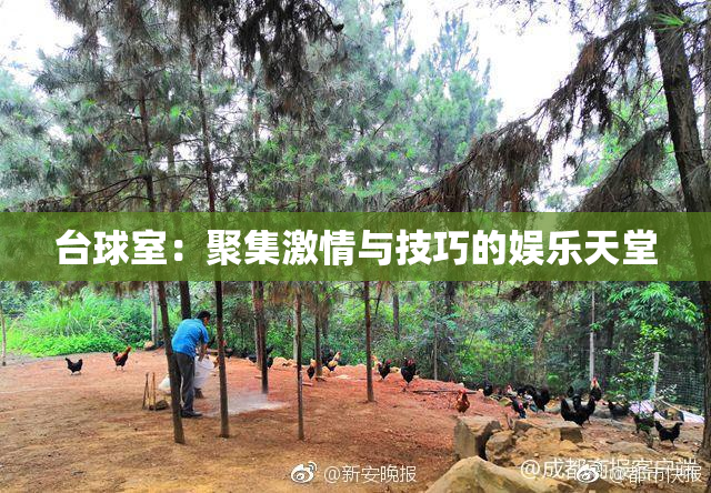台球室：聚集激情与技巧的娱乐天堂
