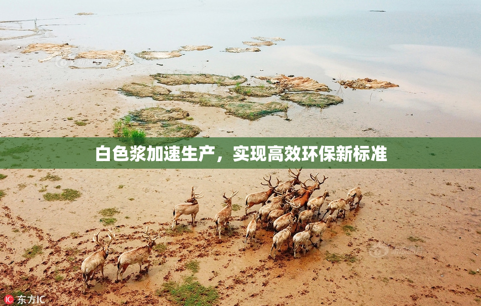 白色浆加速生产，实现高效环保新标准
