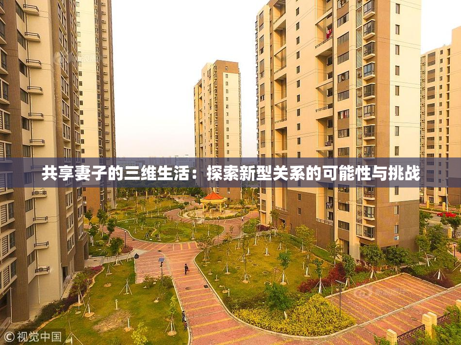 共享妻子的三维生活：探索新型关系的可能性与挑战