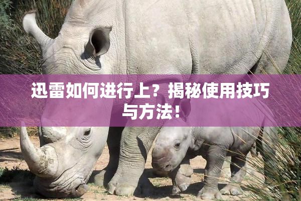 迅雷如何进行上？揭秘使用技巧与方法！