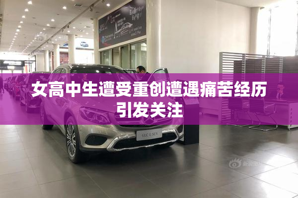 女高中生遭受重创遭遇痛苦经历引发关注