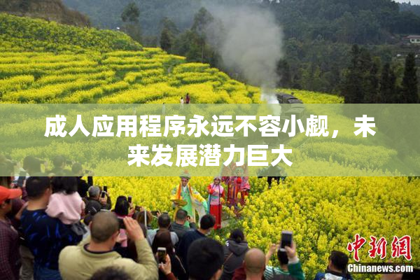 成人应用程序永远不容小觑，未来发展潜力巨大