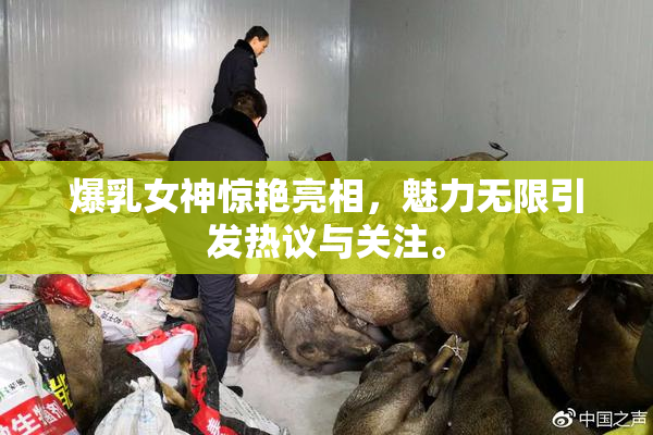 爆乳女神惊艳亮相，魅力无限引发热议与关注。