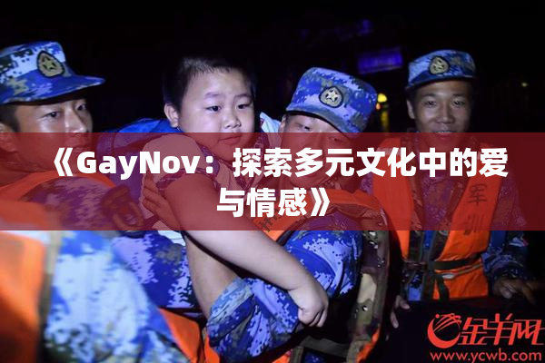 《GayNov：探索多元文化中的爱与情感》