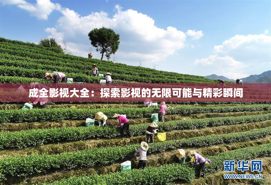 成全影视大全：探索影视的无限可能与精彩瞬间