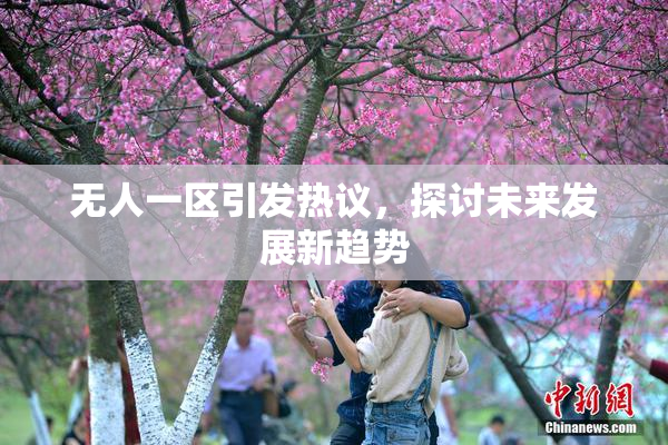 无人一区引发热议，探讨未来发展新趋势