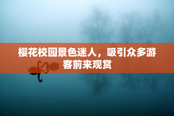 樱花校园景色迷人，吸引众多游客前来观赏
