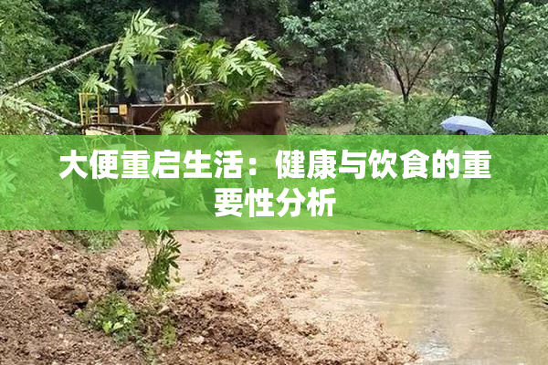大便重启生活：健康与饮食的重要性分析