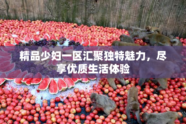 精品少妇一区汇聚独特魅力，尽享优质生活体验
