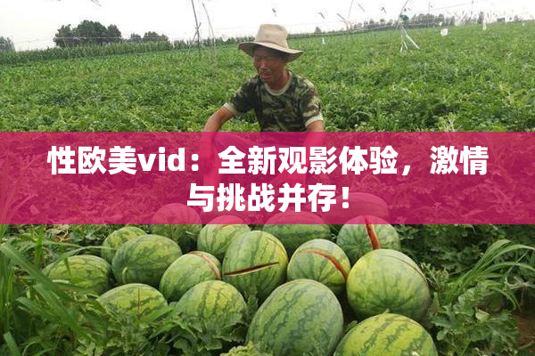 性欧美vid：全新观影体验，激情与挑战并存！