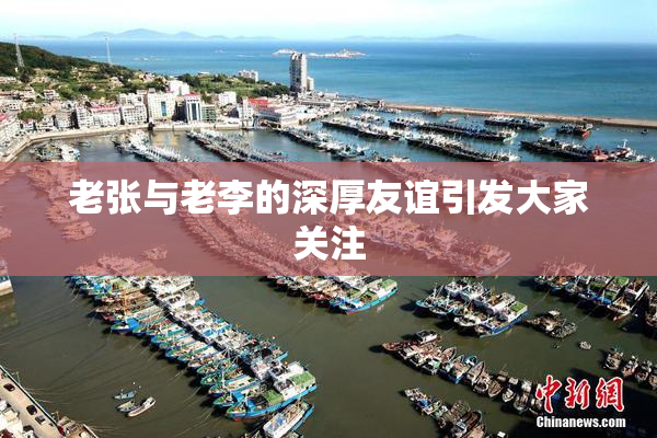 老张与老李的深厚友谊引发大家关注