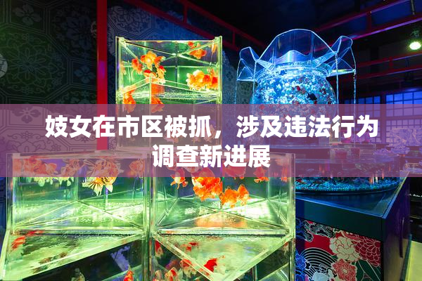 妓女在市区被抓，涉及违法行为调查新进展