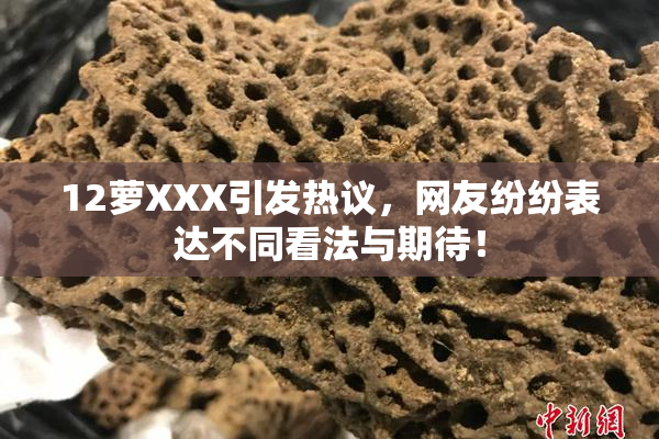 12萝XXX引发热议，网友纷纷表达不同看法与期待！