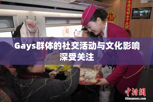 Gays群体的社交活动与文化影响深受关注