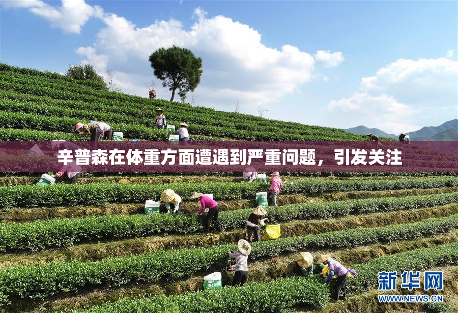 辛普森在体重方面遭遇到严重问题，引发关注