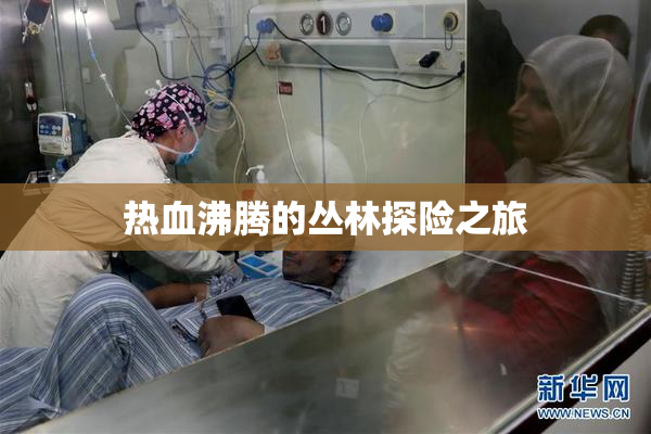 热血沸腾的丛林探险之旅