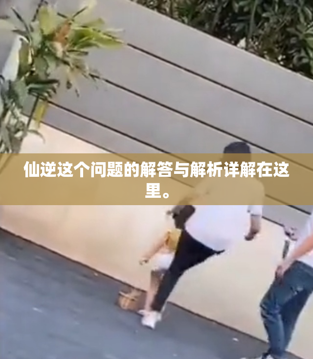 仙逆这个问题的解答与解析详解在这里。