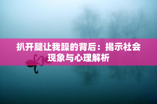 扒开腿让我躁的背后：揭示社会现象与心理解析
