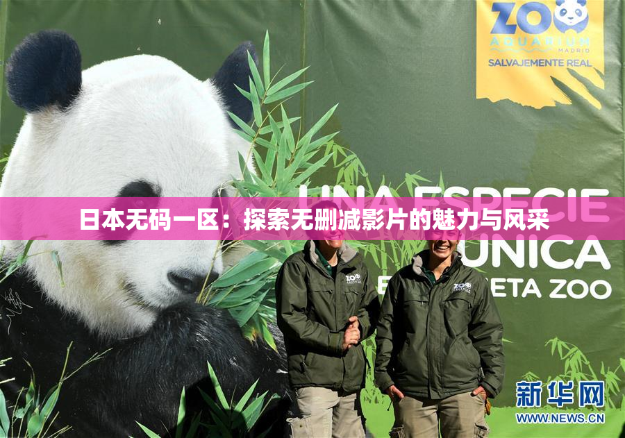 日本无码一区：探索无删减影片的魅力与风采