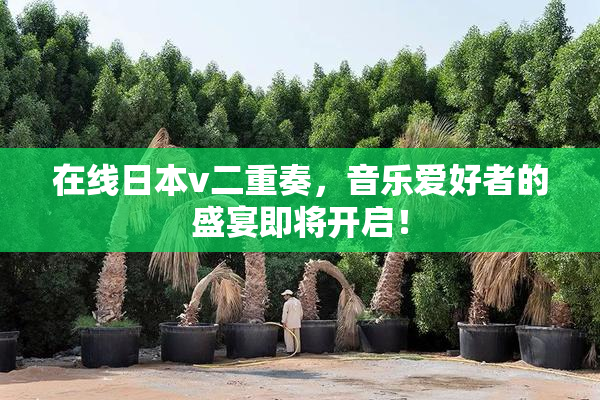 在线日本v二重奏，音乐爱好者的盛宴即将开启！