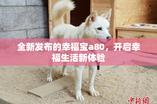 全新发布的幸福宝a80，开启幸福生活新体验