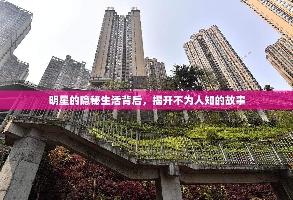 明星的隐秘生活背后，揭开不为人知的故事