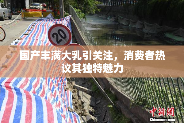 国产丰满大乳引关注，消费者热议其独特魅力